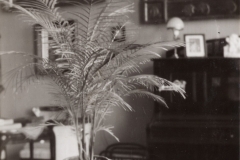 Wnętrze dworu, 1936 r.