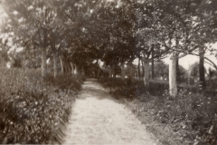 Aleja 1935 r.