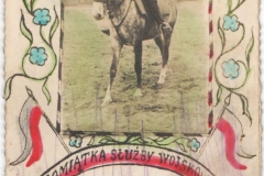 Pamiątka służby wojskowej