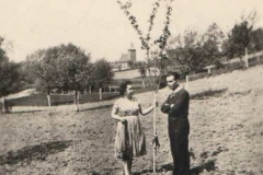 W ogrodzie