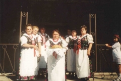 Zespół Sami Swoi