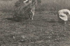 rodzina Kowalczyków lata 70-e