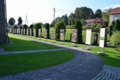 WysDSC_0529